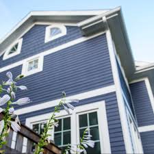 Colorplus BondDallas